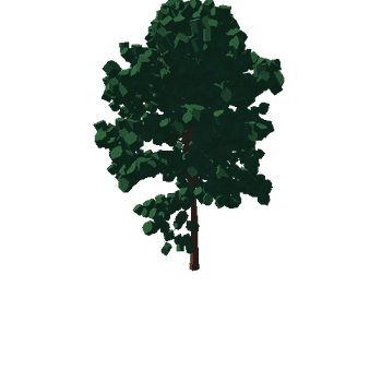 bigLeavesTree Variant_1